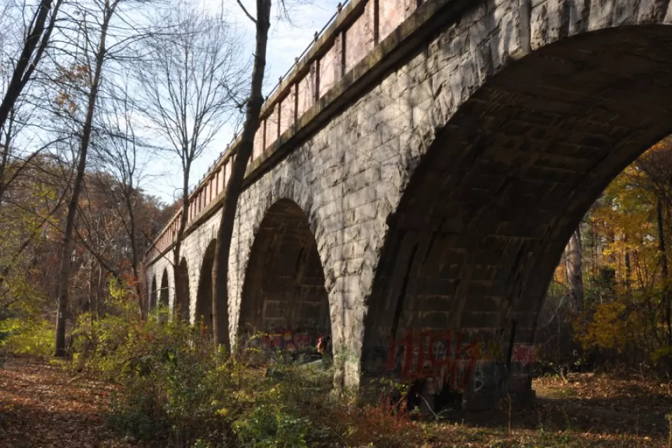 Waban Arches